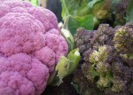 Post image for This Weekend: London Slow Food Market at The Southbank Centre