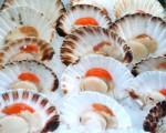 Post image for Don’t Miss The Christmas Slow Food Market