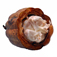 cocoabutter